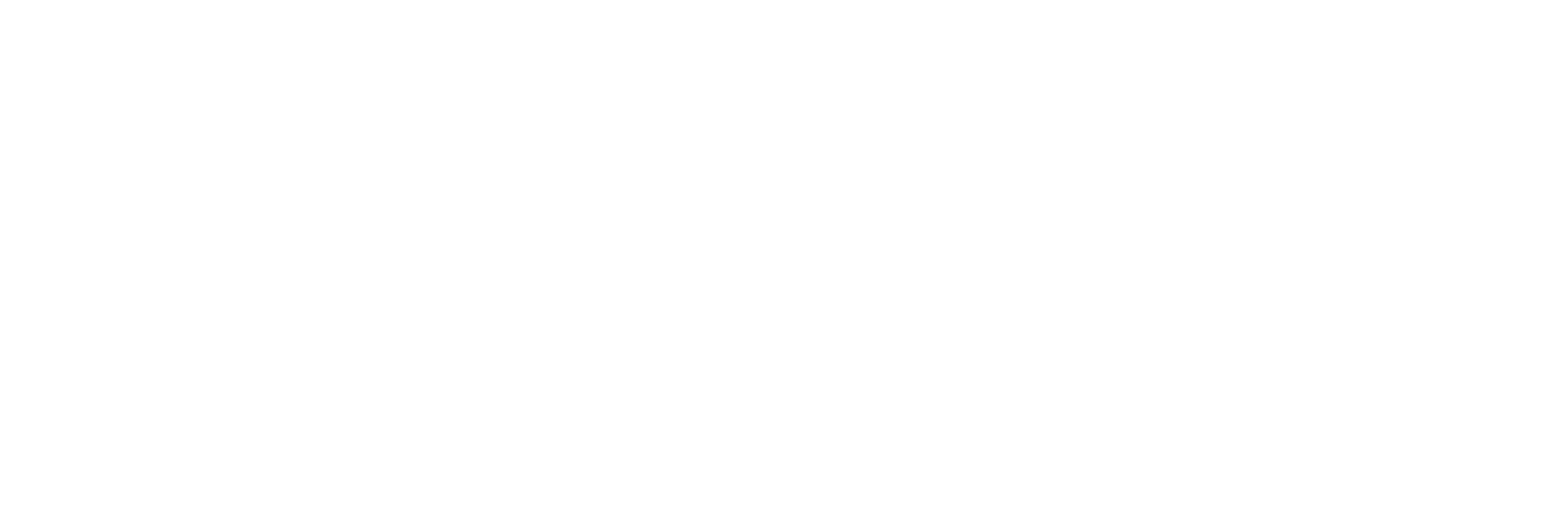Netizen Tours Logo